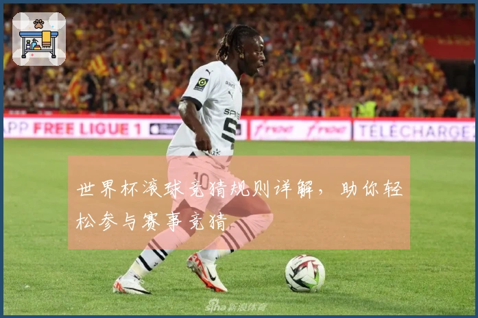 世界杯滚球竞猜规则详解，助你轻松参与赛事竞猜