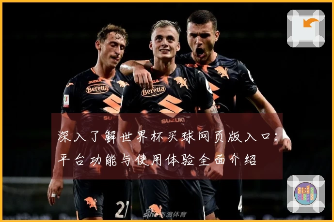 深入了解世界杯买球网页版入口：平台功能与使用体验全面介绍