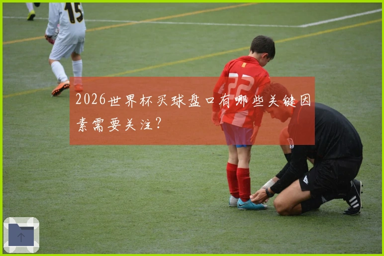 2026世界杯买球盘口有哪些关键因素需要关注？