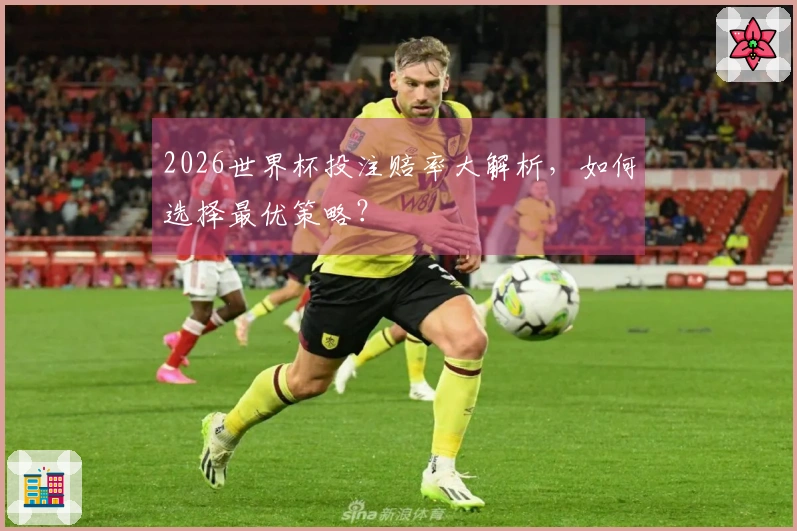 2026世界杯投注赔率大解析，如何选择最优策略？