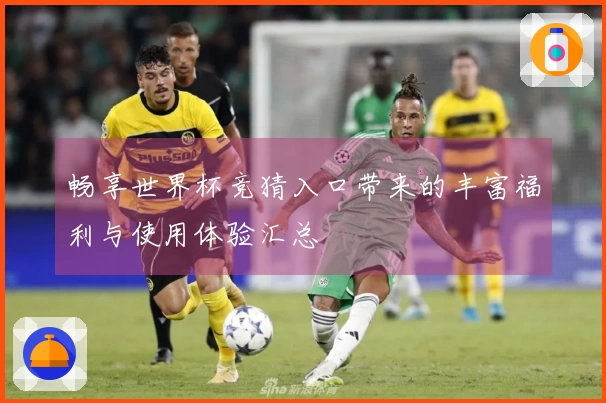 畅享世界杯竞猜入口带来的丰富福利与使用体验汇总