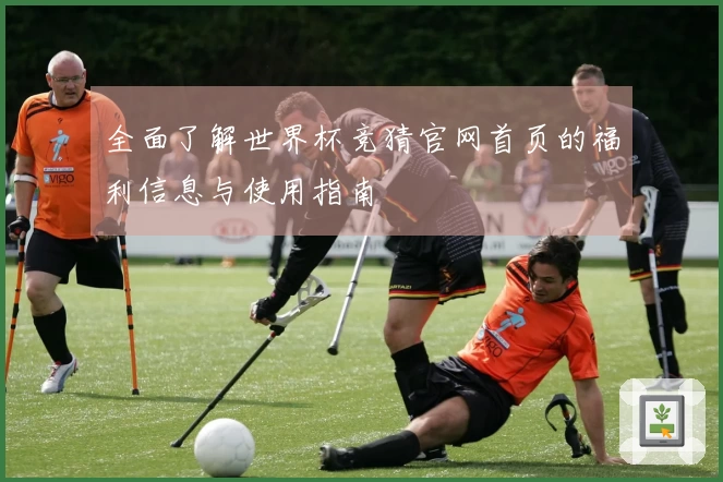 全面了解世界杯竞猜官网首页的福利信息与使用指南