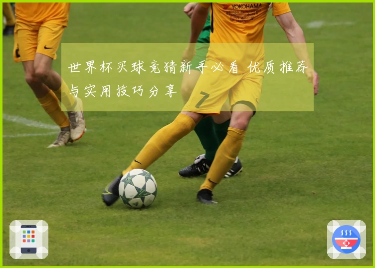 世界杯买球竞猜新手必看 优质推荐与实用技巧分享