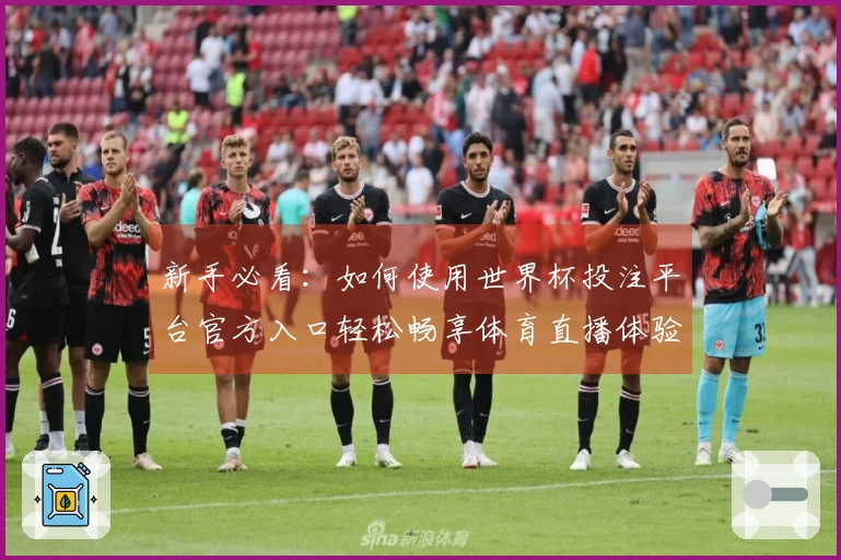 新手必看：如何使用世界杯投注平台官方入口轻松畅享体育直播体验