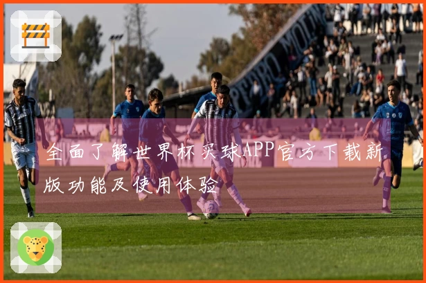 全面了解世界杯买球APP官方下载新版功能及使用体验