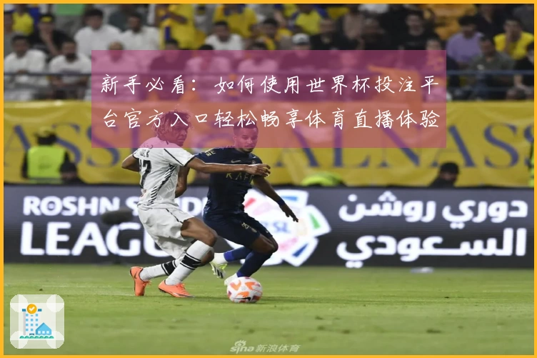 新手必看：如何使用世界杯投注平台官方入口轻松畅享体育直播体验