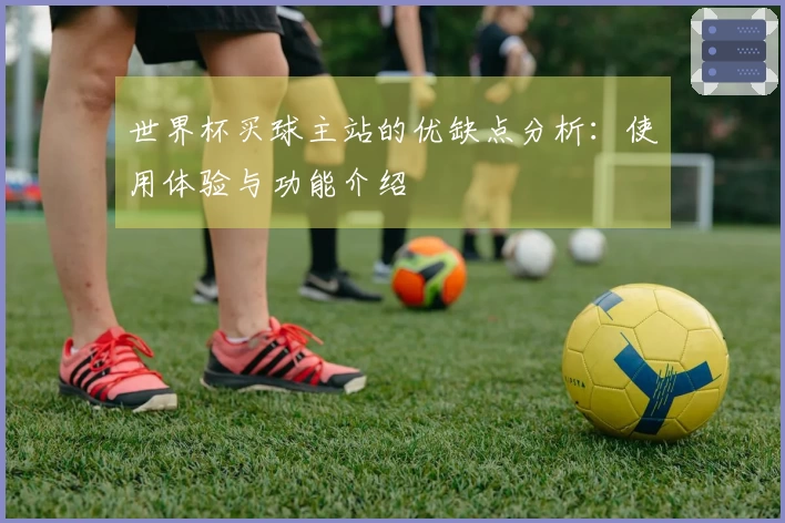 世界杯买球主站的优缺点分析：使用体验与功能介绍