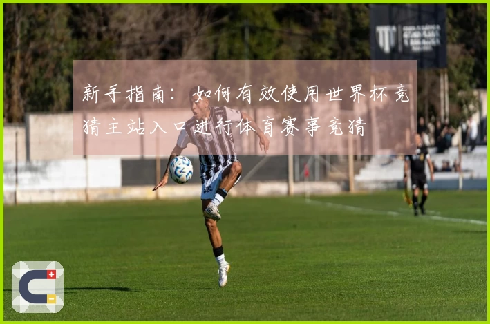 新手指南：如何有效使用世界杯竞猜主站入口进行体育赛事竞猜