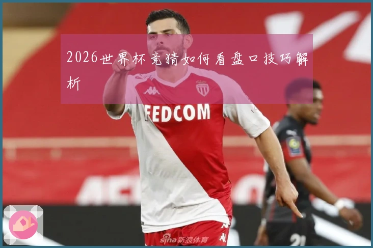 2026世界杯竞猜如何看盘口技巧解析