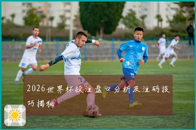 2026世界杯投注盘口分析及注码技巧揭秘