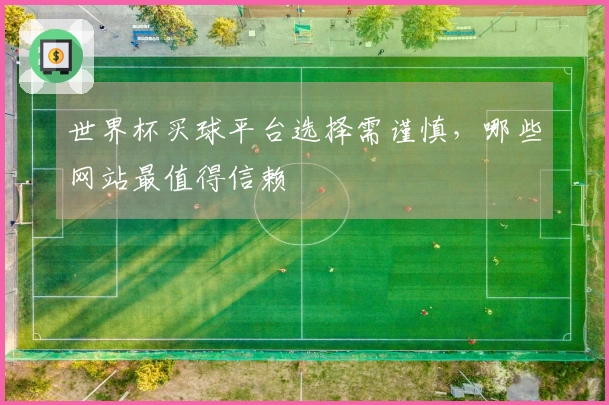 世界杯买球平台选择需谨慎，哪些网站最值得信赖