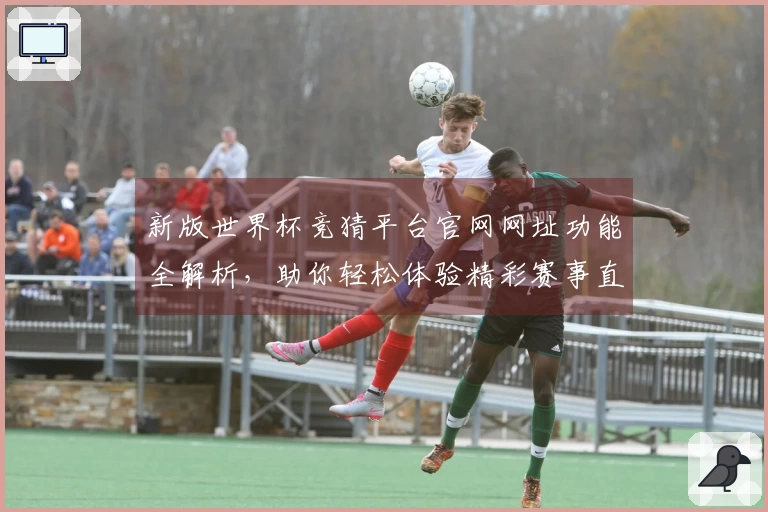 新版世界杯竞猜平台官网网址功能全解析，助你轻松体验精彩赛事直播
