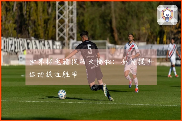 世界杯竞猜技巧大揭秘：如何提升你的投注胜率