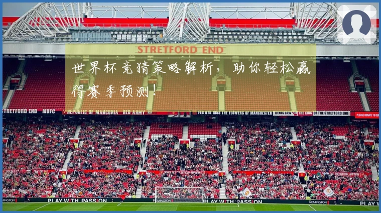 世界杯竞猜策略解析，助你轻松赢得赛季预测！